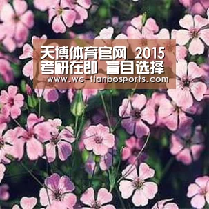 天博体育官网