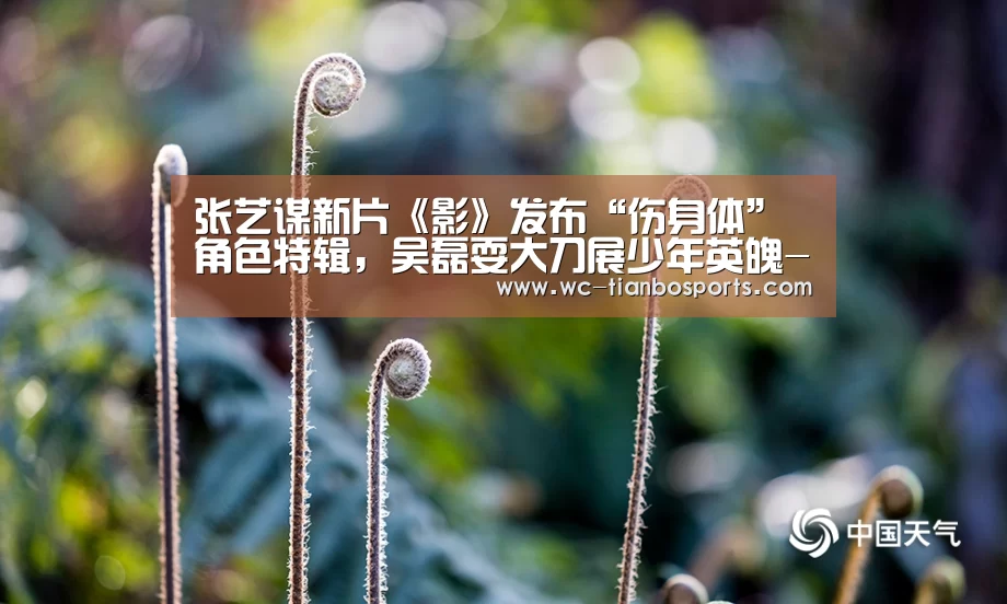 张艺谋新片《影》发布“伤身体”角色特辑,吴磊耍大刀展少年英魄-天博体育下载(图2) 天博体育