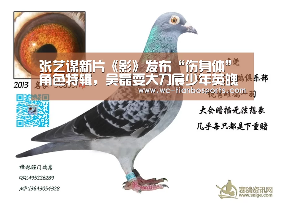 张艺谋新片《影》发布“伤身体”角色特辑,吴磊耍大刀展少年英魄-天博体育下载(图3) 天博体育下载