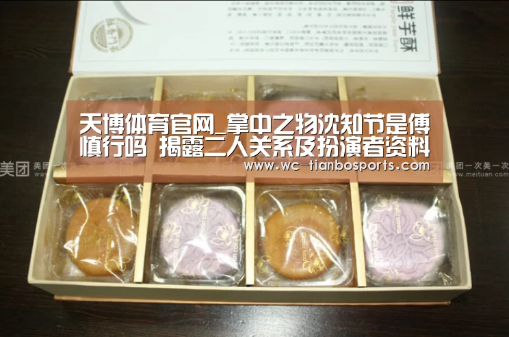 天博体育官网_掌中之物沈知节是傅慎行吗 揭露二人关系及扮演者资料(图3) 天博体育app