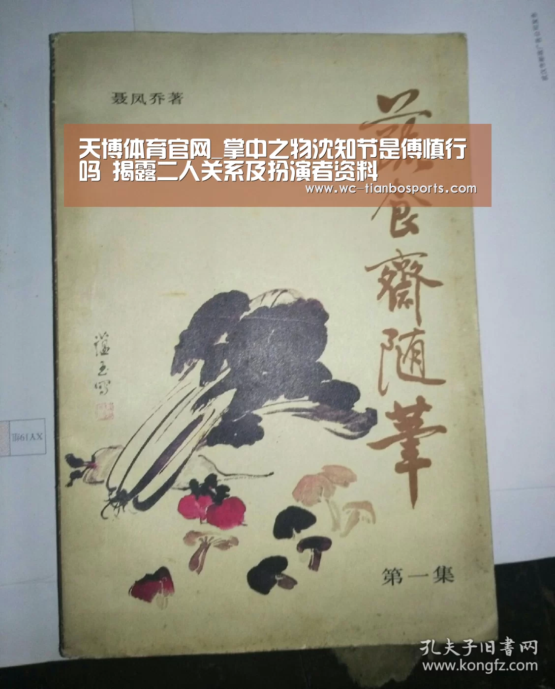 天博体育官网_掌中之物沈知节是傅慎行吗 揭露二人关系及扮演者资料(图2) 天博体育官网