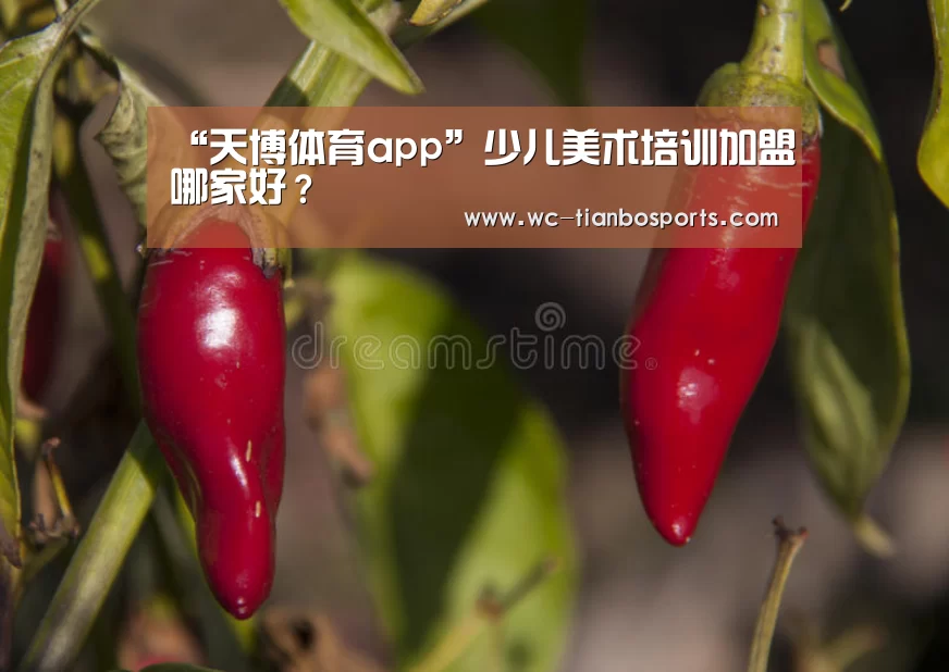 “天博体育app”少儿美术培训加盟哪家好?(图4) 天博体育官网